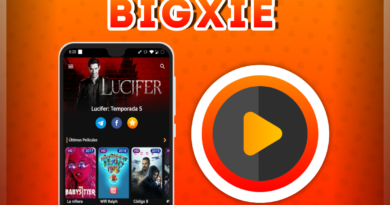 Bigxie, ver películas y series gratis (contraseña Bigxie)